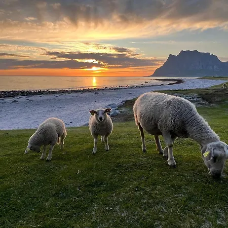 Fisherman's Cabin, Lofoten - 11 Johnbua Ballstad
