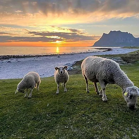 Πανδοχείο Fisherman's Cabin, Lofoten - 11 Johnbua