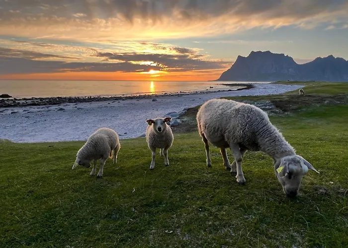 Fisherman's Cabin, Lofoten - 11 Johnbua Ballstad